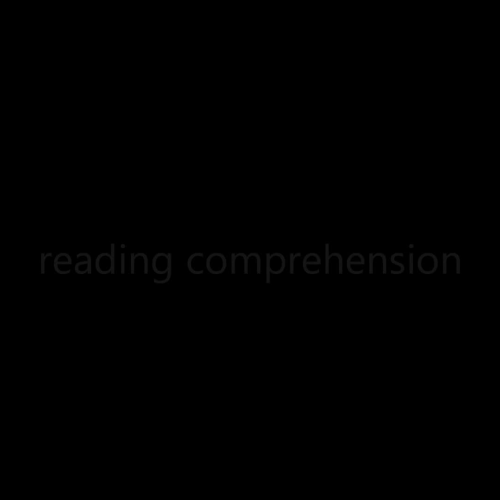 Reading Comprehension Strategy