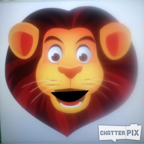 Lion Tour - Emergency