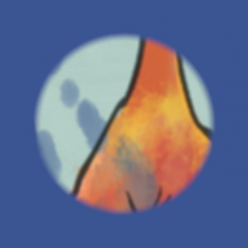 Cock-a-Doodle Oops Book Trailer