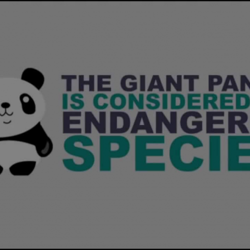 10 Facts About Pandas