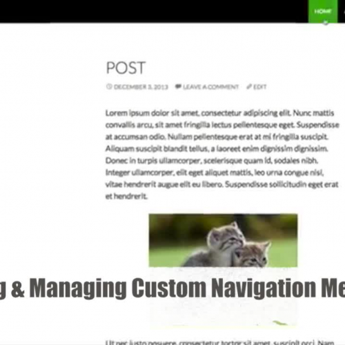 Creating and Managing Custom Navigation Menus Overview