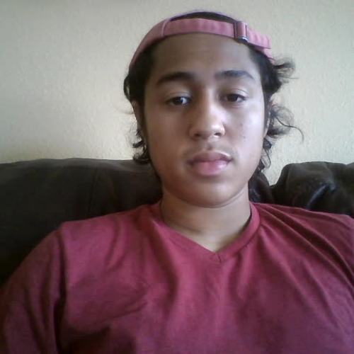 03.02 Describe the family  visual presentation 