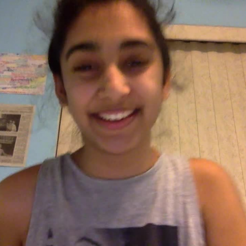 03.02 Describe the Family Visual Presentation