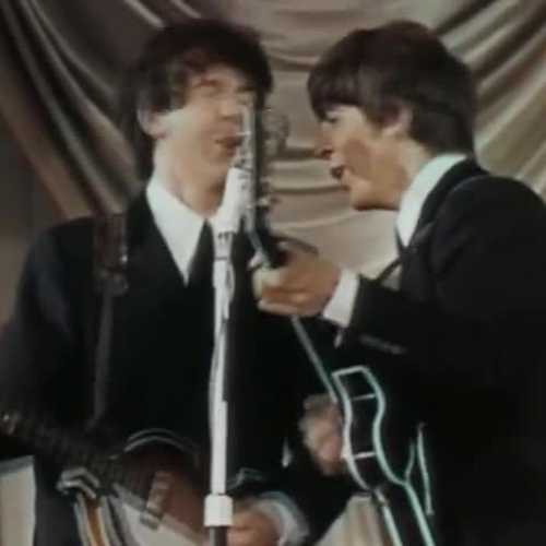 Beatles She Love You