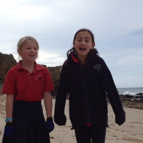 Belle and Missy Project