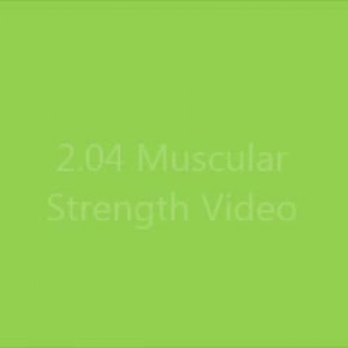 2.04 Muscular Stregth Video