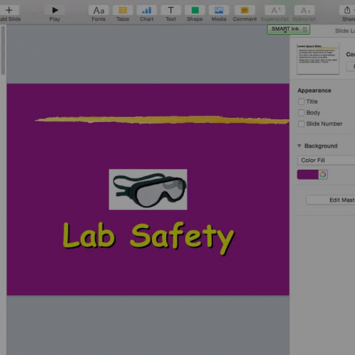 Mr. Rasby Lab Safety1