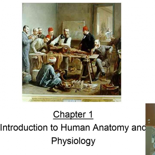  Misty Greene Anatomy Chapter 1