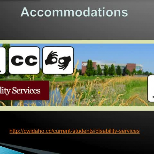 MSC Accommodations