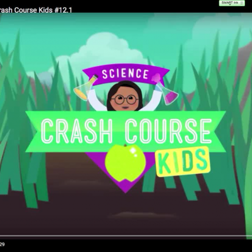 What is an Engineer?