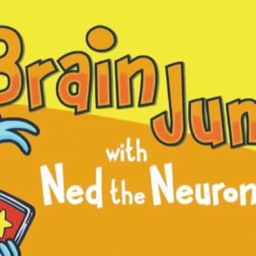 Brain Jump with Ned the Neuron