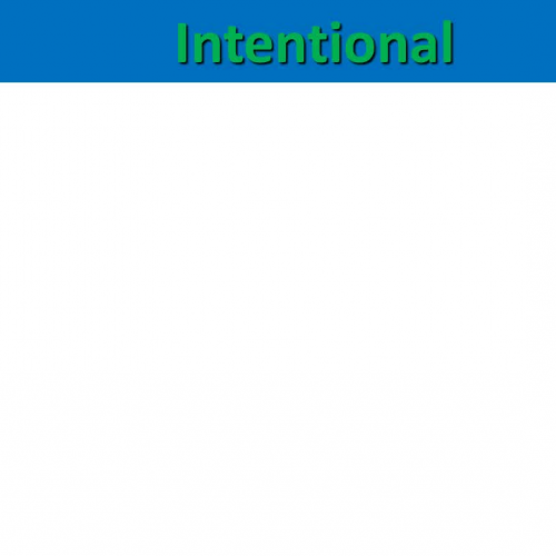 Lesson 10 Intentional