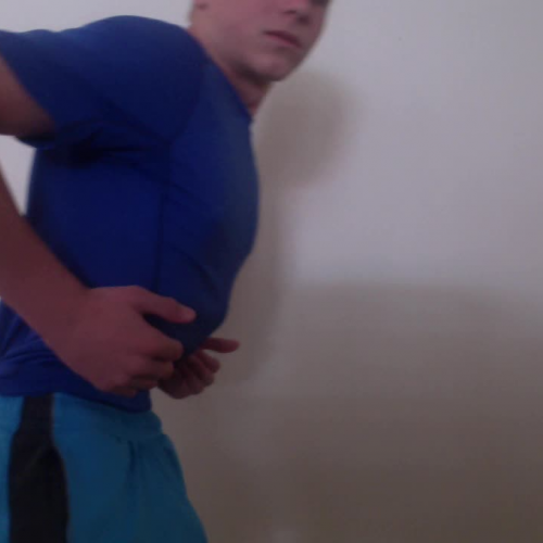 03.02 Describe the Family Visual Presentation