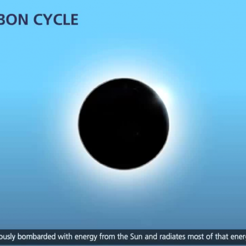 The Carbon Cycle [3D Animation]