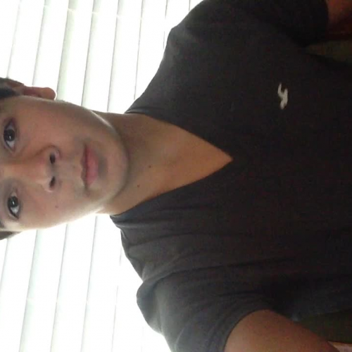 03.02 Describe the Family Visual Presentation