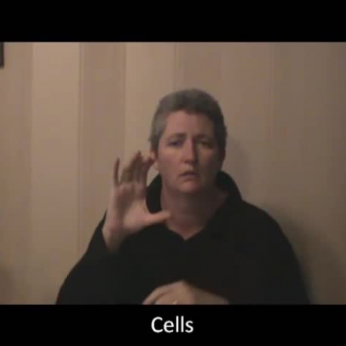 Cells (ASL) Ms. Solomon-Klebba
