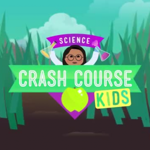 Food Webs: Crash Course Kids #21.2 