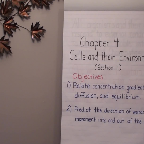 Chapter 4 Section 1 Passive Transport 