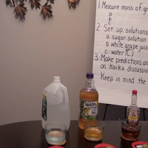 Chapter 4 Section 1 Lab (Passive Transport)