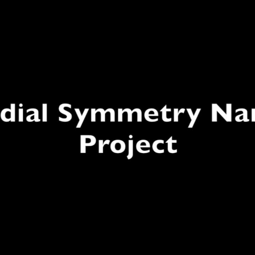 Radial Symmetry Project