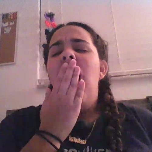 03.02 Describe the Family Visual Presentation 