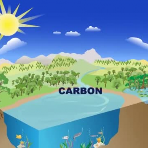 The Carbon Cycle