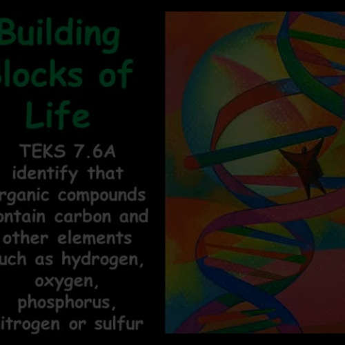 Building Blocks of Life