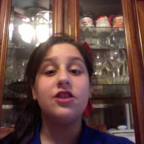 03.02 Describe the Family Visual Presentation