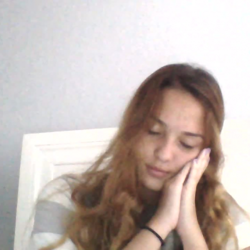 Assignment: 03.02 Describe the Family Visual Presentation