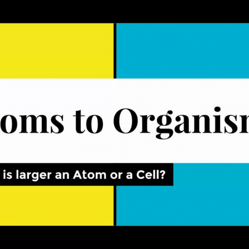 From Atoms to Cells