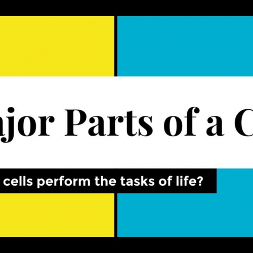 Major parts of cells