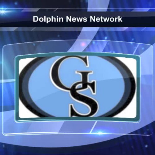 Dolphin News Network 9/9/15