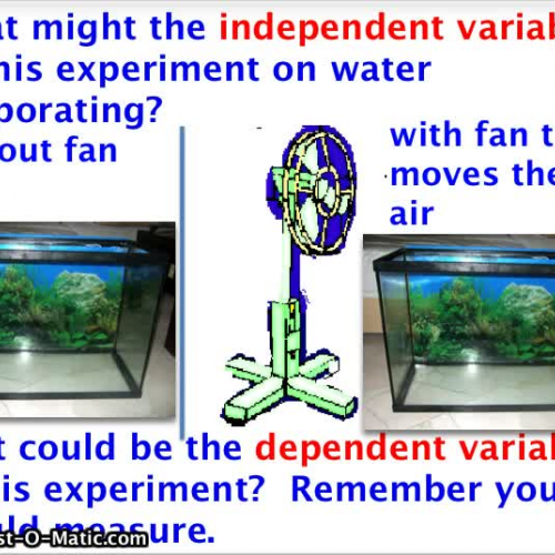 Scientific Variables  Scientific Method