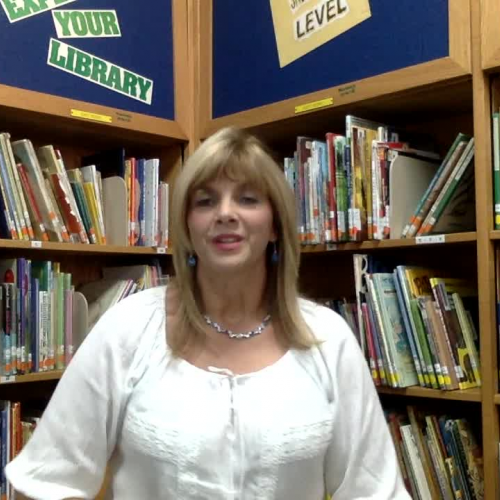 School Library Staffing Position Argument 