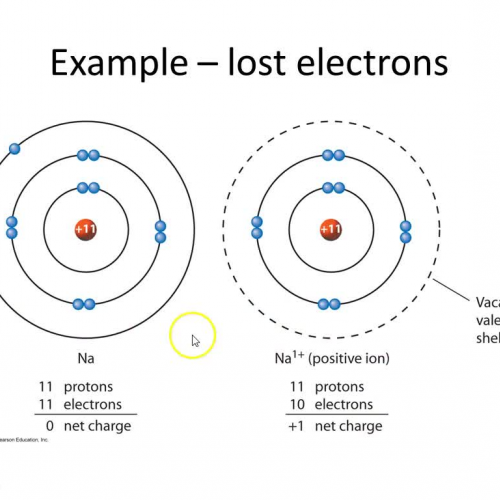 Bohr Models of Ions