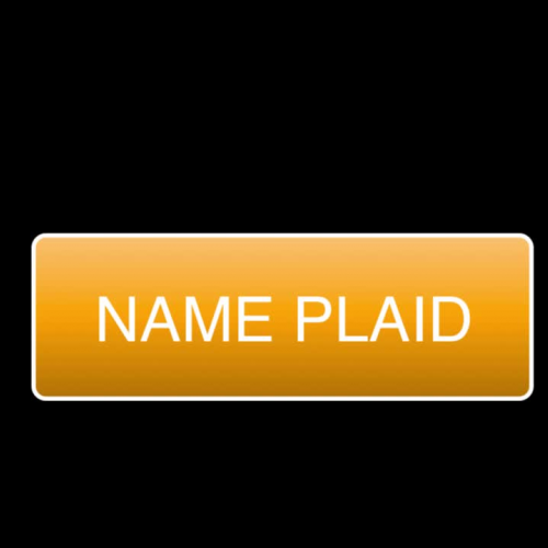 Name Plaid 2