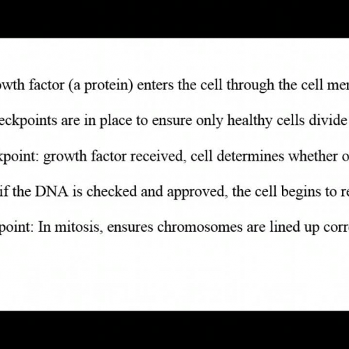 9/16 HWK: Growth Factors