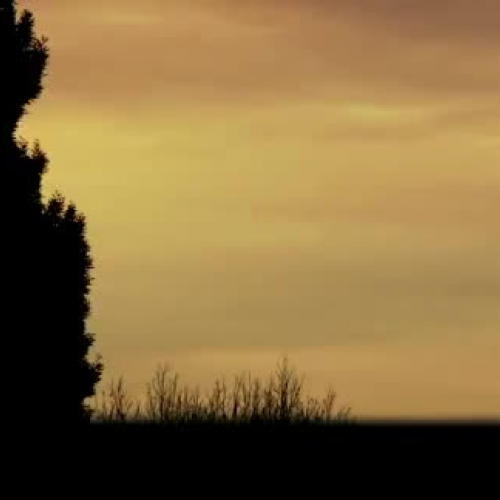 The Finish Line -The Full Story