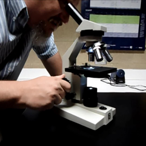 Mr. Glonek's Microscope Focusing Directions