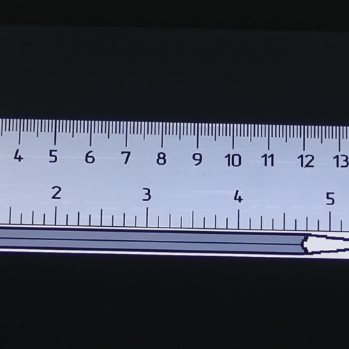 Linear Measurement Drill
