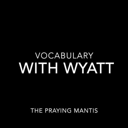 Vocabulary with Wyatt-The praying mantis By:  Summer, Logan, and Ashton 3rd Period