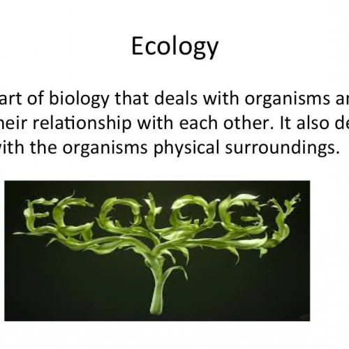 Basic Ecology: Grant, Wilson, Zane, Bryson 7th Period