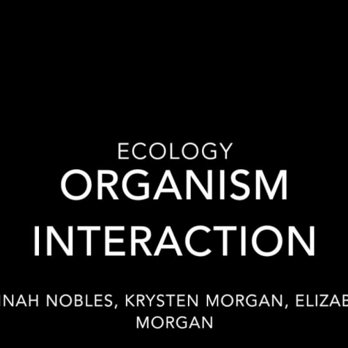 Symbiotic Relationships: Krysten, Elizabeth, Hannah 7th Period 