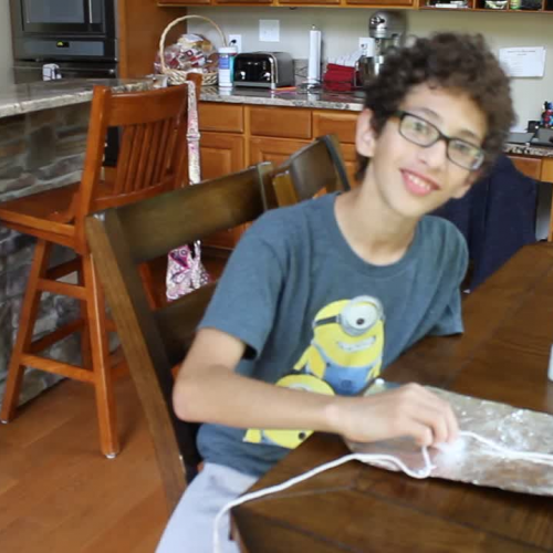 Toby's Enrichment Science Project