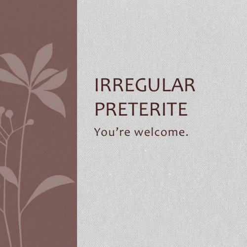 spanish preterite of IR/SER, HACER, VER, DAR