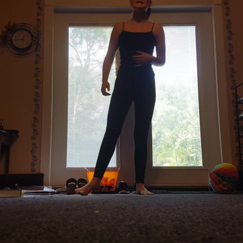 02.04 Muscular Strength Video 