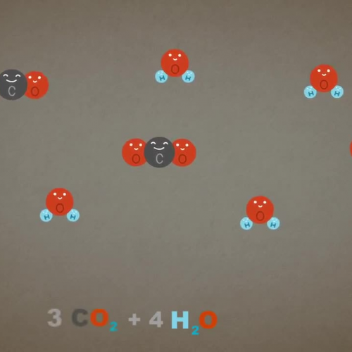 The Law of Conservation of Mass