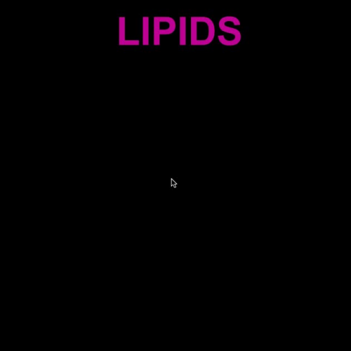 U2 V4 Lipids & Nucleic Acids