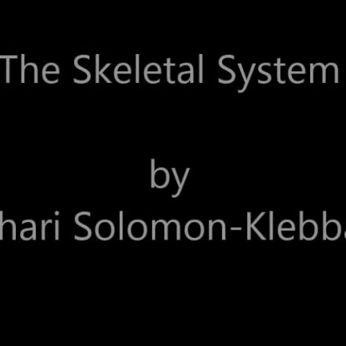 The Skeletal System (ASL) Ms. Solomon-Klebba