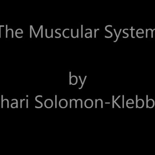 The Muscular System (ASL) Solomon-Klebba